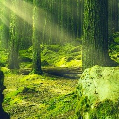 Shine On (Remix 2026)