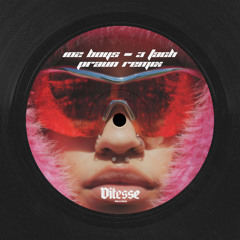 FREEDL - 102 Boyz - 3 Tach (Praun Remix) (VIT-FDL014)