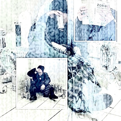 D1RTN4P (prod.wysa)