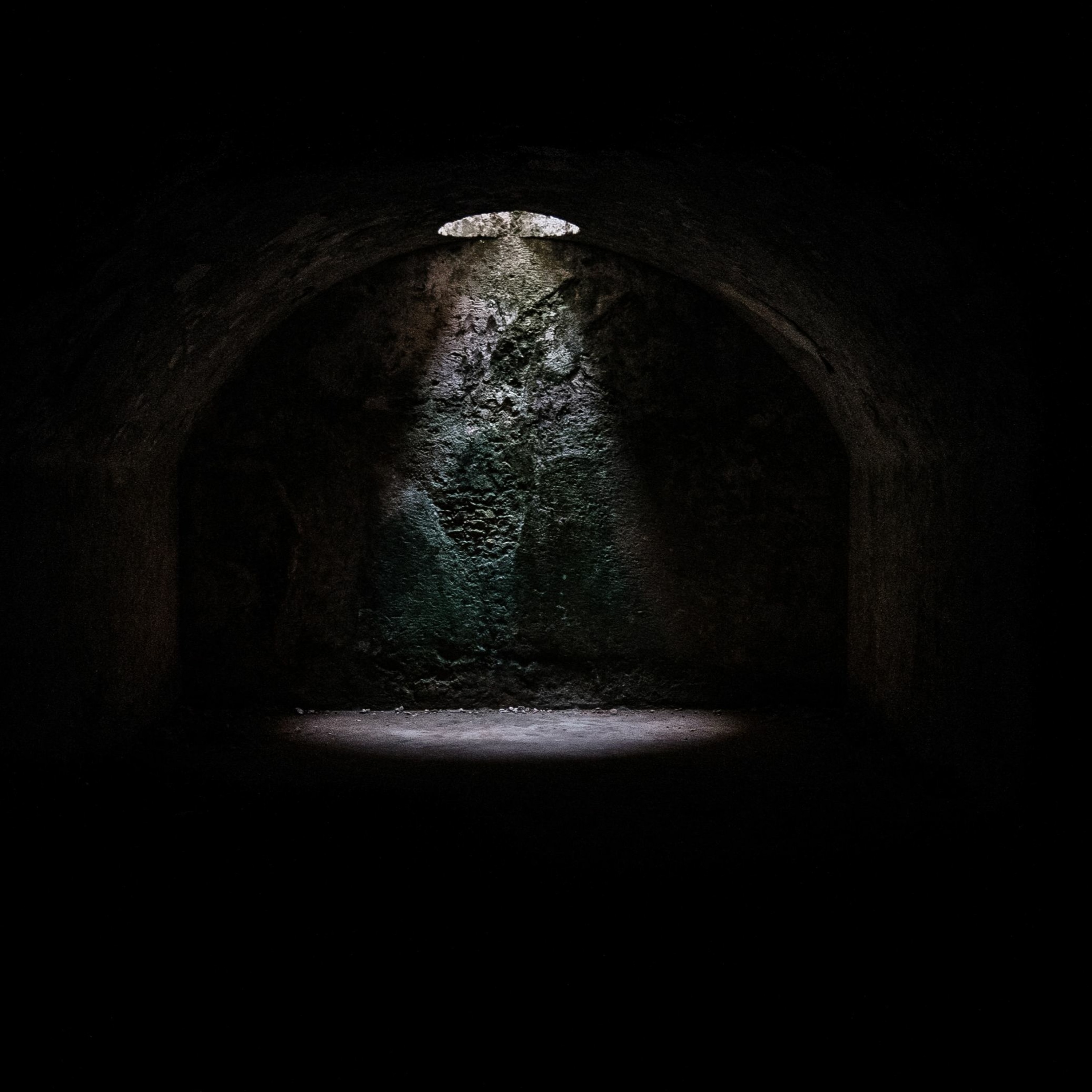 Into The Dark (2)