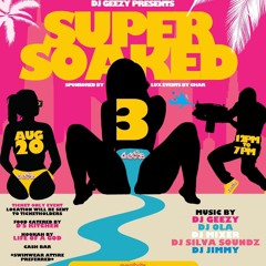 Silvasoundz & DJ Mixer Live at DJ Geezy's Super Soaked Pool Party 3