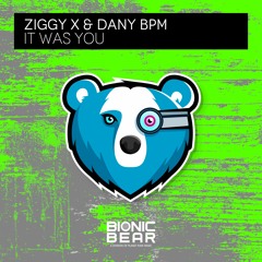 ZIGGY X & Dany BPM - It Was You