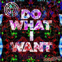 Kid Cudi - Do What I Want (TRAVER bootleg) [FREE DL]