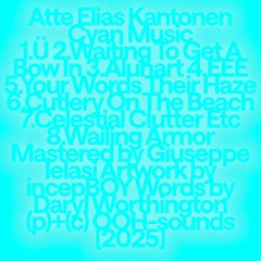 Atte Elias Kantonen - Cutlery On The Beach