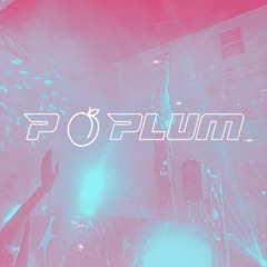 MEGAPLUM Mix Vol. 2