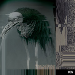 CCIV - MURKIN
