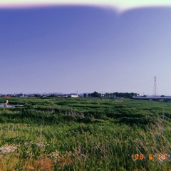 아지랑이