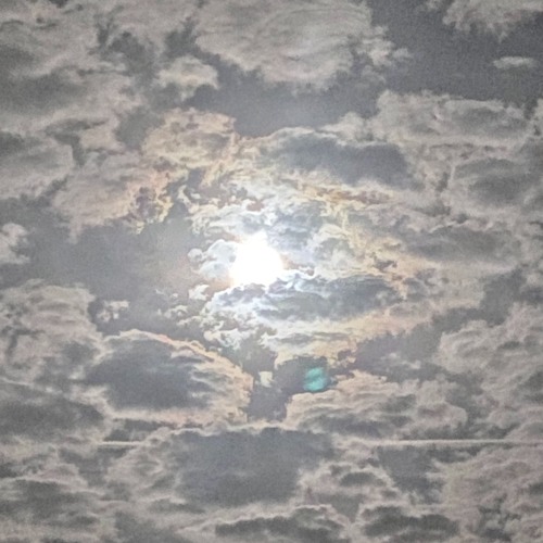 Experimental Nights 3