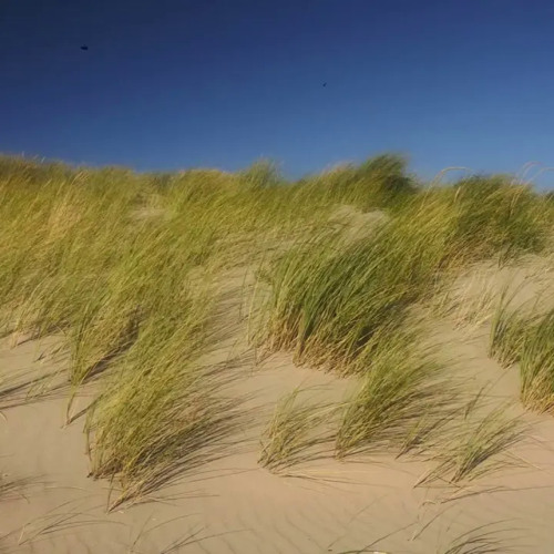 Stullett - All Yours