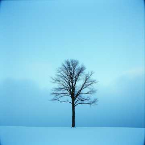 I can't do it without you #1