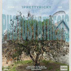 Photosynthesis - Stage One