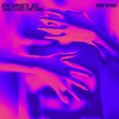 Riton x David Guetta x Jozzy - Where You Want (Tommy Glasses Funky Remix)