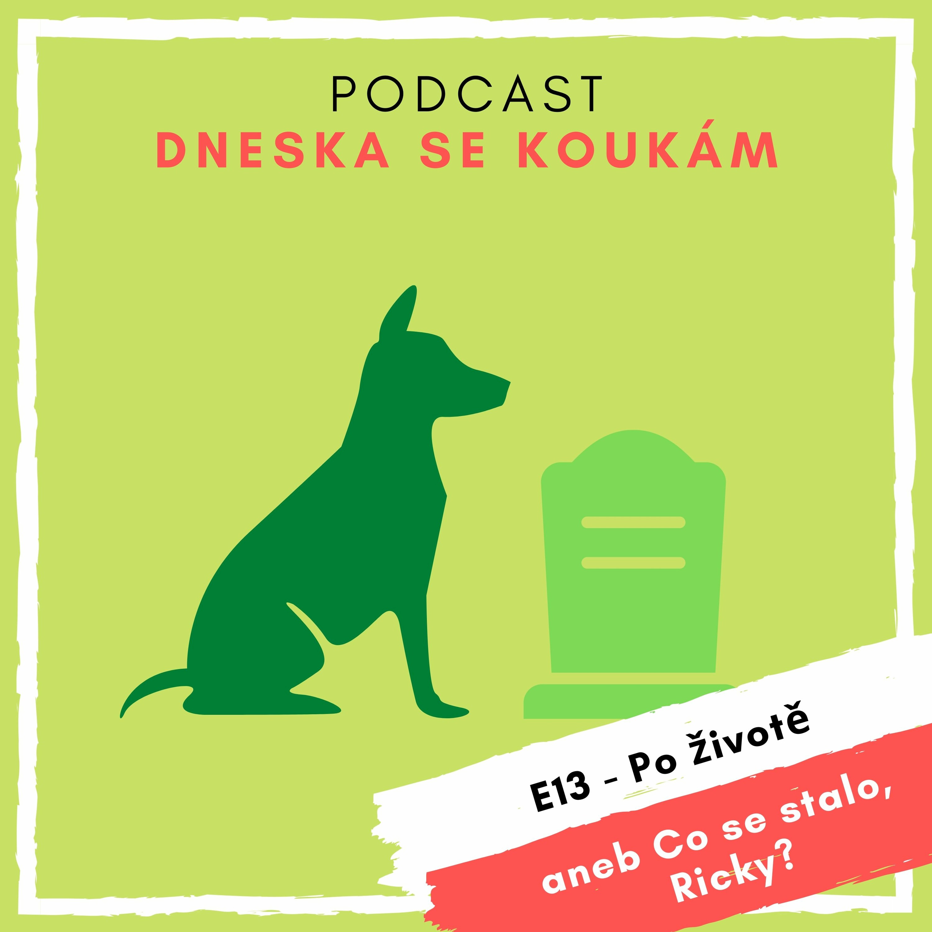 E13 – Po životě aneb Co se stalo, Ricky?