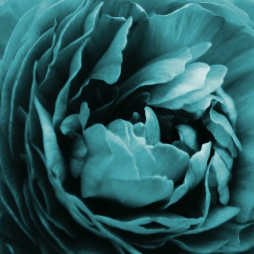 ЛУНА - Лютики (remix by Meshka Sound)