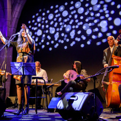 RFL101 Jazz Feeling Festival des cordes pincees 2024