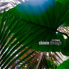 slimface - shinin through (beat tape)