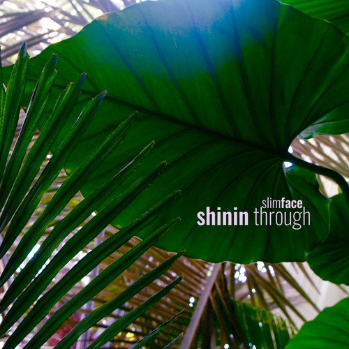 slimface - shinin through (beat tape)