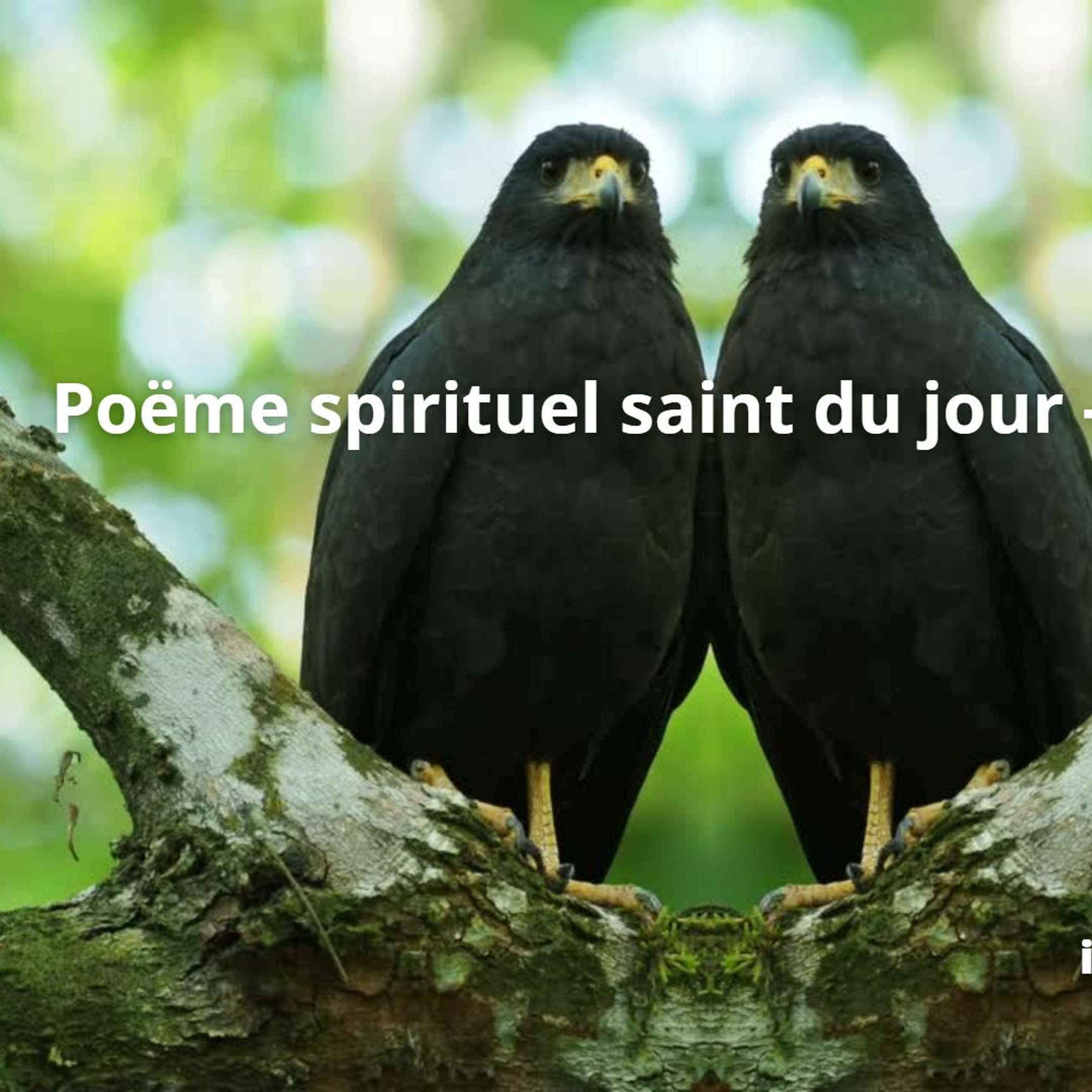 Poème Spirituel Saint Du Jour   Valérie