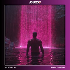 Rapido Mix Series #13 - Black Flamingo
