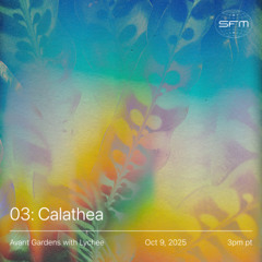 Avant Gardens 03: Lychee (Calathea)