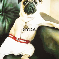 SYKA (prod.def3ct)