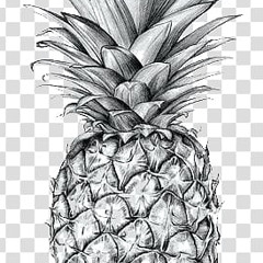 Gdzie Jest Biały Węgorz (Zejście)