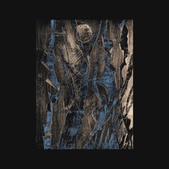 .CHPTR033 ‘#staydrone-the final chapter’ | Pedro Pina