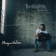 Wasted On You - Morgan Wallen (Dolb Remix)