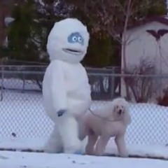 everybody,,,,,,,,,,,,,,,stay home for the holidays