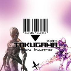 Tokugawa Heavy Industries (640509 040147)