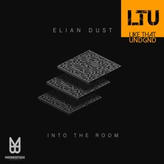 Premiere: Elian Dust - Into The Room (Original Mix) | Moonbootique