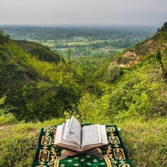 يا عبادِ لا خوفٌ عليكم اليوم ولا أنتم تحزنون،