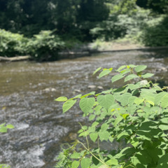 Culprit(symmetry).wav