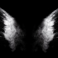 DJ - Mix #1 - Fallen Revenge Angel: Melodic and Minimal Techno
