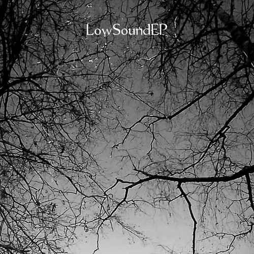 SouthColdKilla - Voice