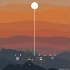 릴리즈(Lil lease) - 보고싶어 (Prod. by TYRAN)