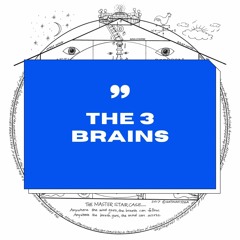 The 3 Brains Mini Breathwork