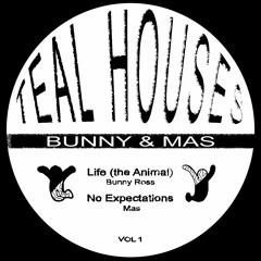 Teal Houses - Teal Houses Vol. 1 [RP:004]
