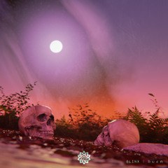 BLINX - Burn (Freewodnload)