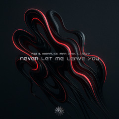 Never Let Me Leave You