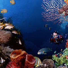 Underwater