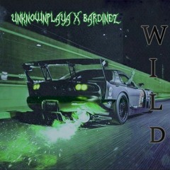 UnknownPlaya x Bardinez - Wild