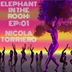 Elephant In The Room Episode 1: Nicola Torriero