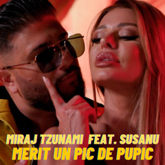 Merit Un Pic De Pupic (feat. Susanu)