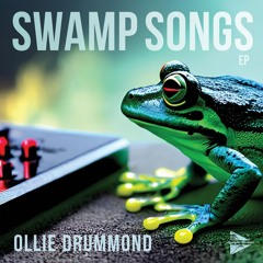 Swamp Songs (Analytic Records 2023)