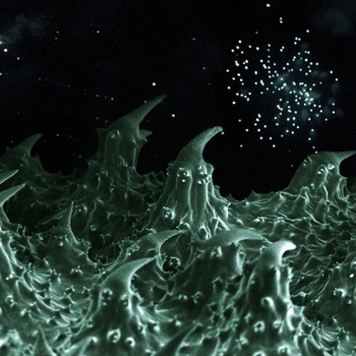 Dark Woods (Improvised Composition) - Demo