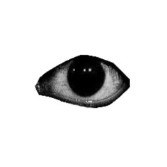 hearing loss or smth idfk