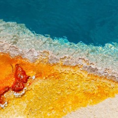 SANAE Less Talk More Flowers - Driving Prog