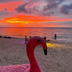 Seaboard 7+ hour set, Koh Phangan, Thailand - Sept 2022