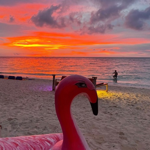 Seaboard 7+ hour set, Koh Phangan, Thailand - Sept 2022